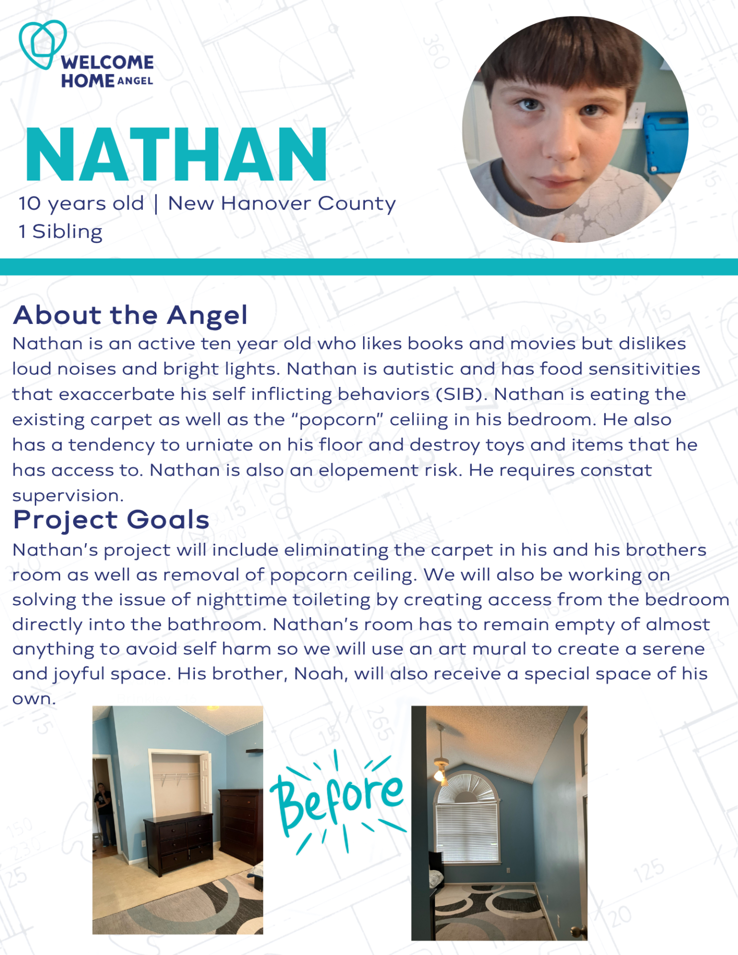 Nathan's Angel Summary 
