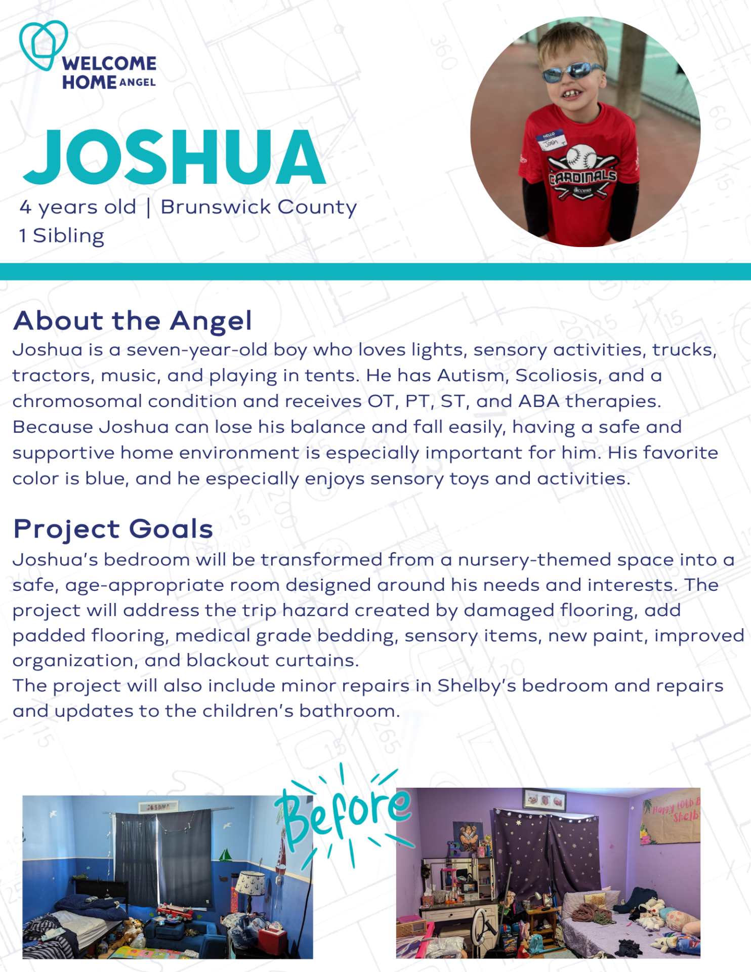 Joshua's Angel Summary